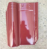 300x400 fully magnetic Roman watts